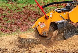 Best Weed Control  in Springville, IA